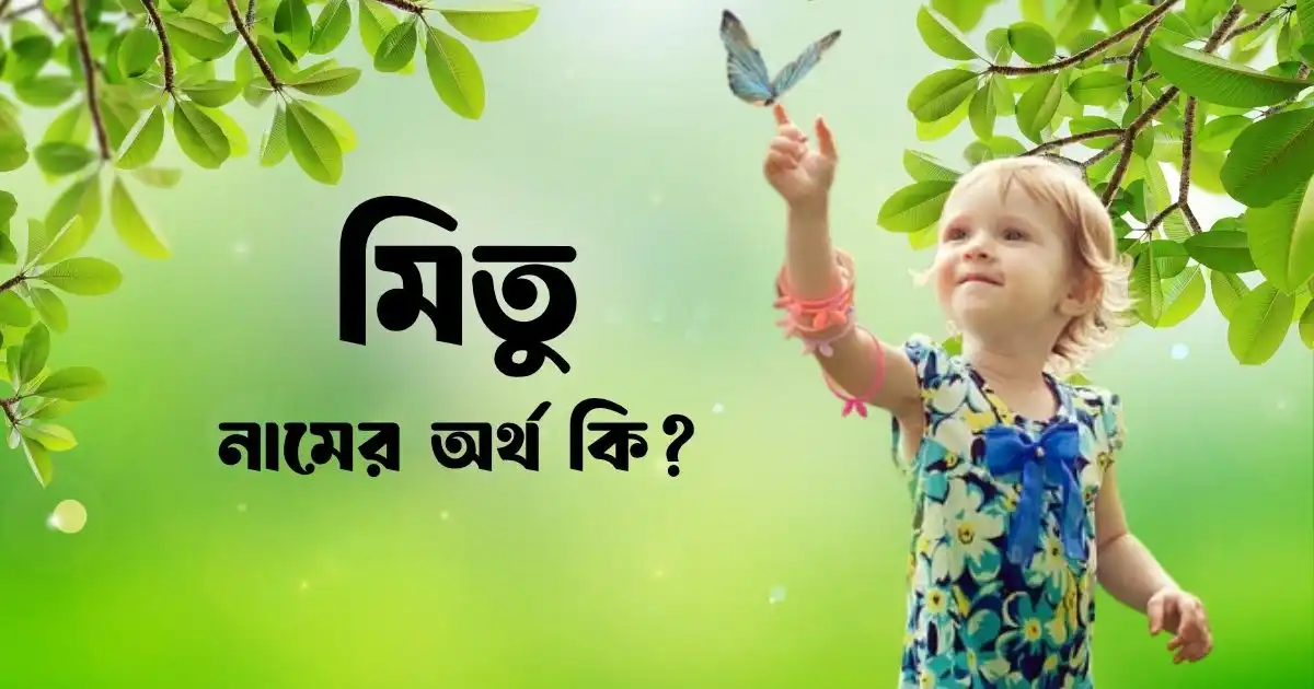 মিতু নামের অর্থ কি
