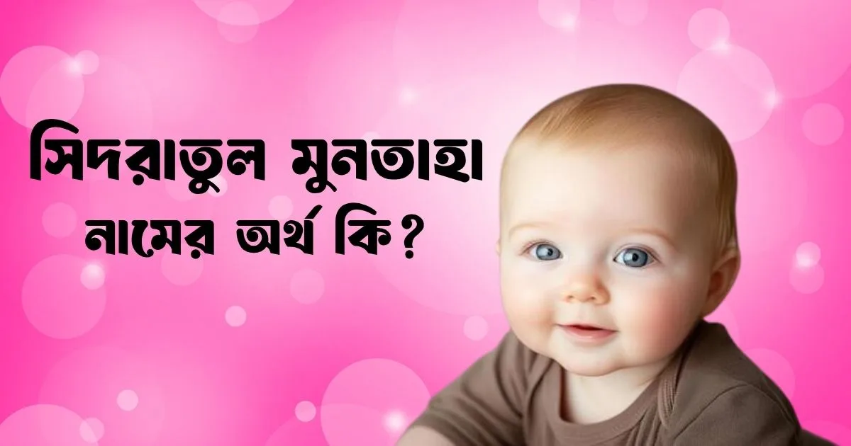 সিদরাতুল মুনতাহা নামের অর্থ কি