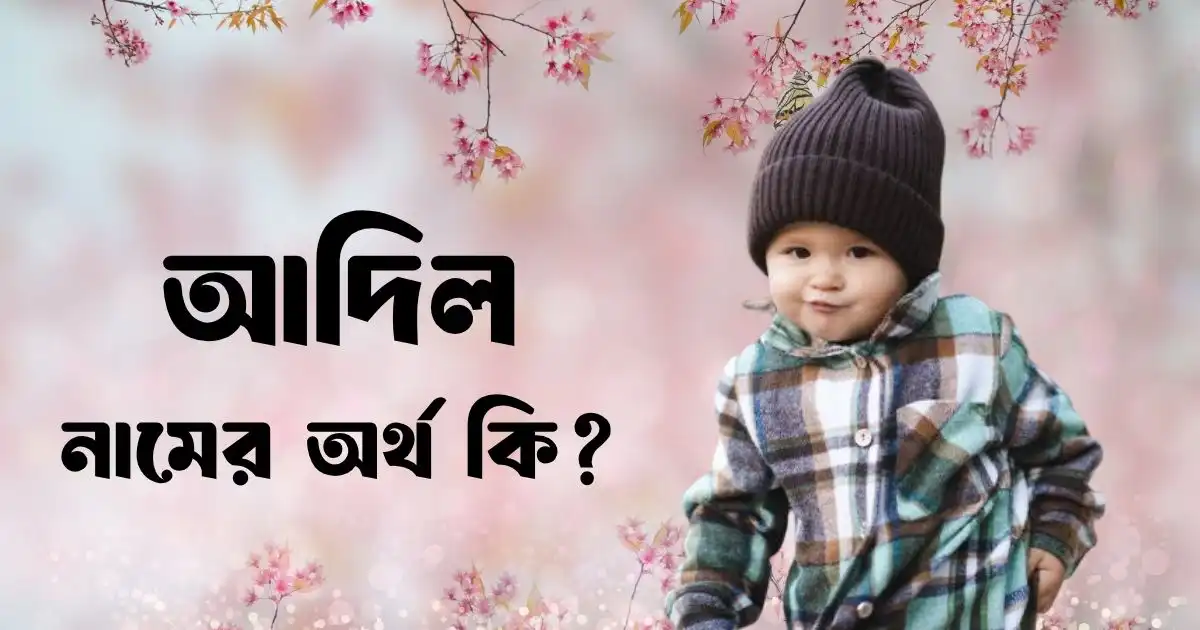 আদিল নামের অর্থ কি