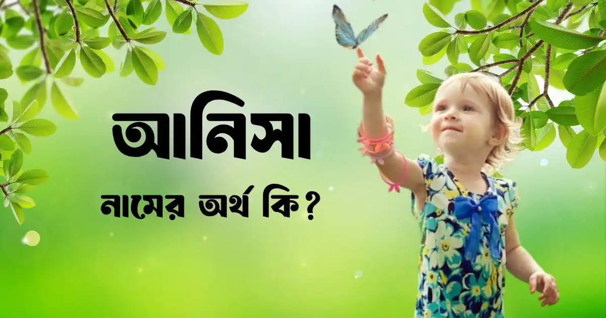 আনিসা নামের অর্থ কি