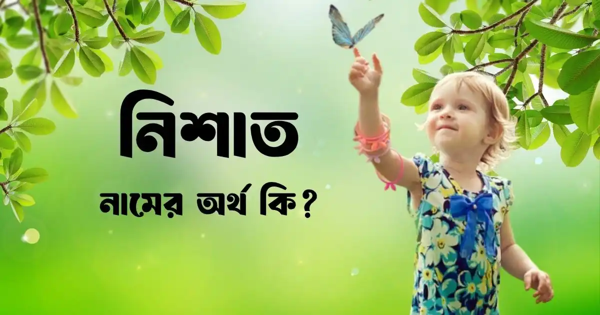 নিশাত নামের অর্থ কি