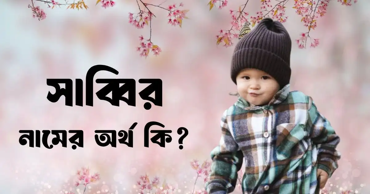 সাব্বির নামের অর্থ কি
