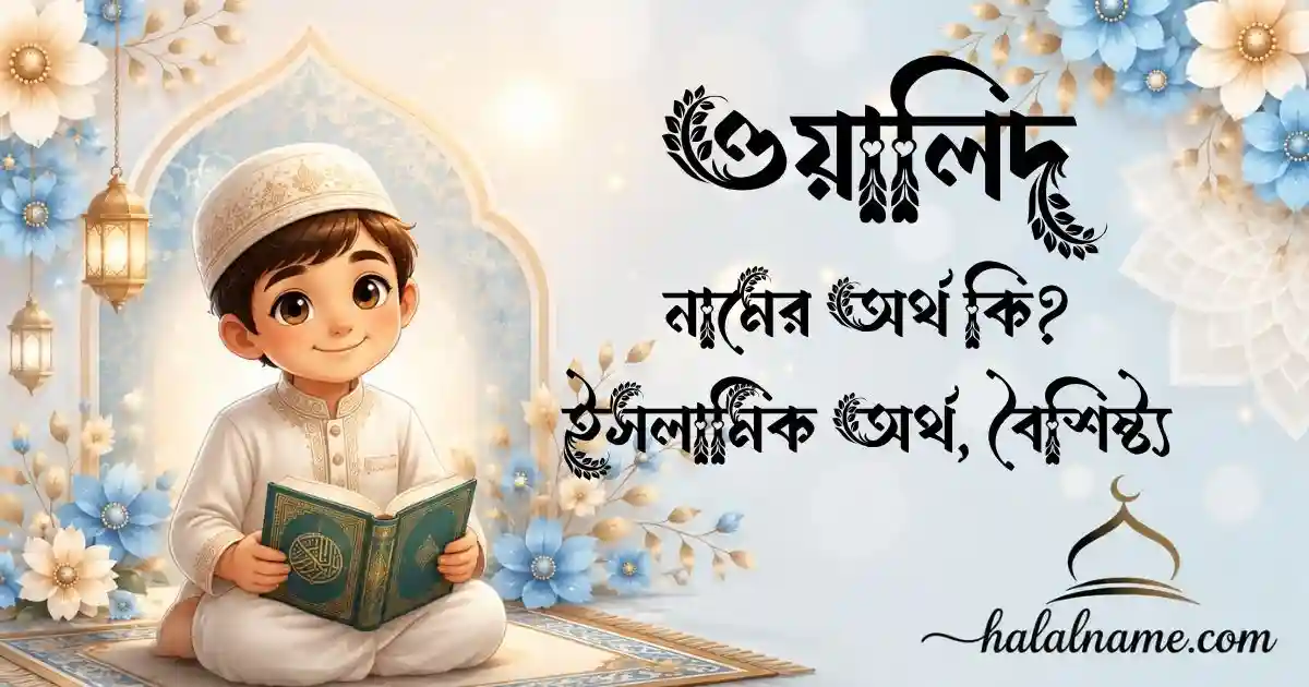 ওয়ালিদ নামের অর্থ কি ইসলামিক অর্থ, বৈশিষ্ট্য