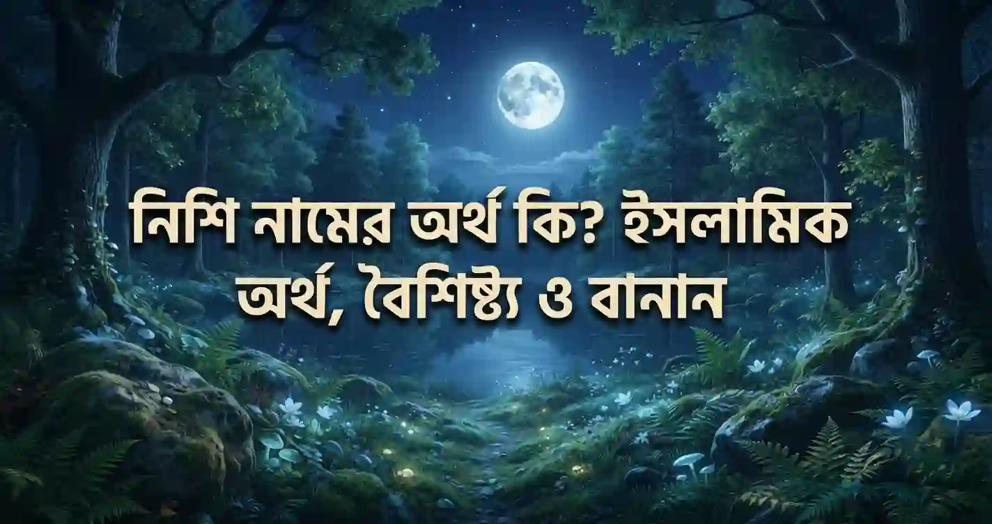 নিশি নামের অর্থ কি